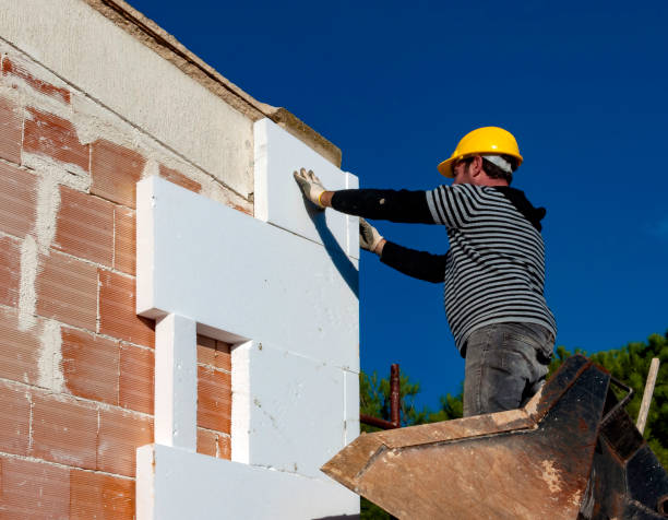 Best Residential Insulation in Rockford, MI