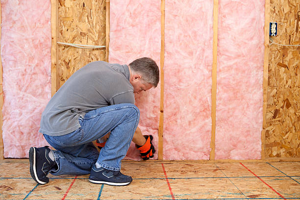 Best DIY Insulation Kits and Guidance in Rockford, MI