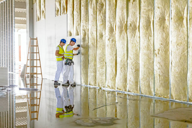 Best Geographic-Specific Insulation Services in Rockford, MI